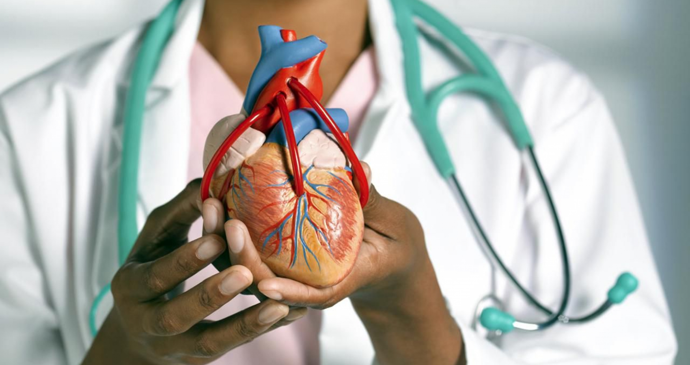 Кардиоцентр красноярск эмблема. Сердечно сосудистая пятигорск. Сердечно-сосудистая система человека анатомия. Фонендоскоп сердечком. Кардиологический центр пятигорск номер.